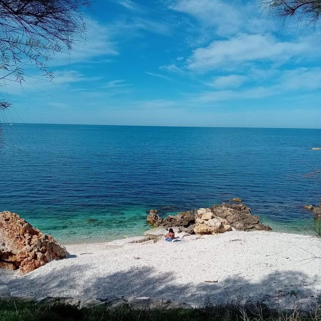 Amaste In Puglia Casa Vacanza Bisceglie Eksteriør billede
