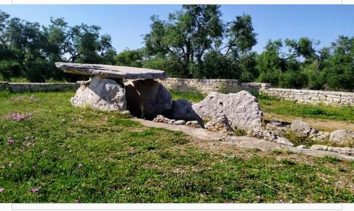 Amaste In Puglia Casa Vacanza Bisceglie Eksteriør billede